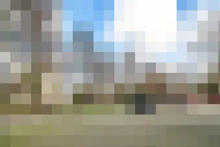 de Koppele 545 Eindhoven thumbnail 6