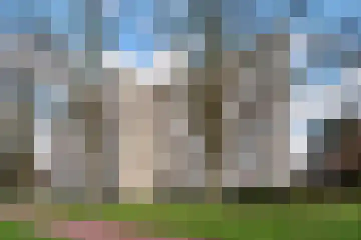 de Koppele 545 Eindhoven thumbnail 7