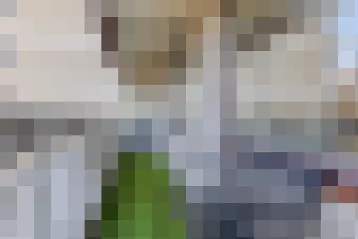 de Koppele 55 Eindhoven thumbnail 10