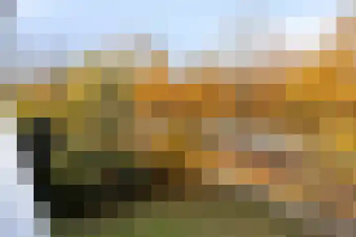 de Koppele 55 Eindhoven thumbnail 12