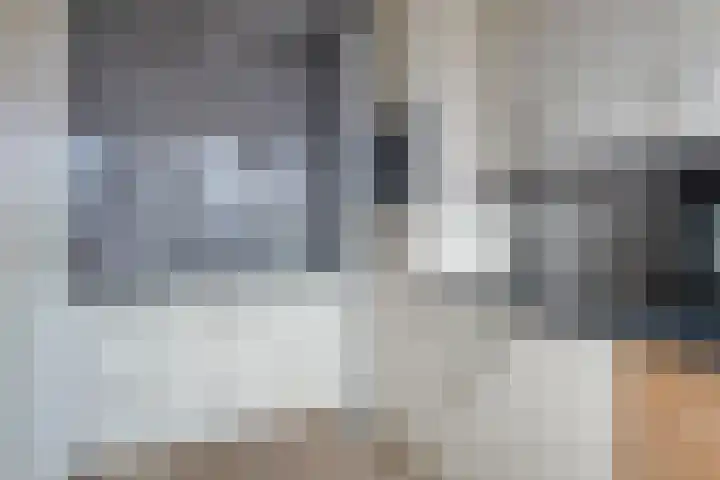 de Koppele 55 Eindhoven thumbnail 13