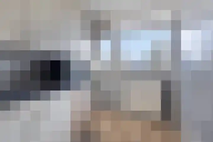 de Koppele 55 Eindhoven thumbnail 14