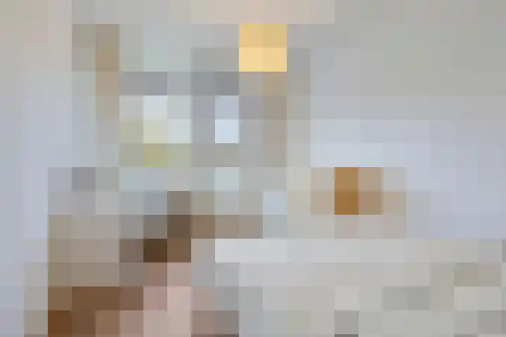 de Koppele 55 Eindhoven thumbnail 18