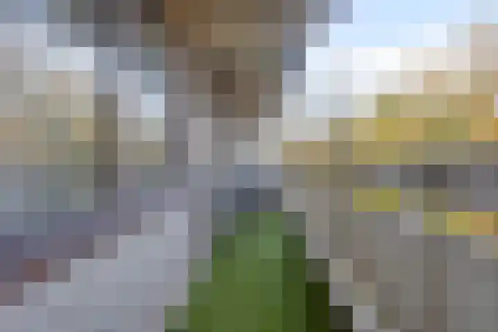 de Koppele 55 Eindhoven thumbnail 4