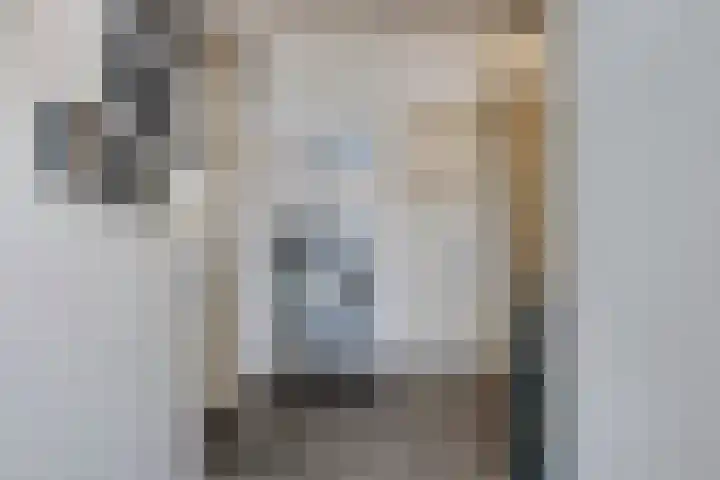 de Koppele 55 Eindhoven thumbnail 6