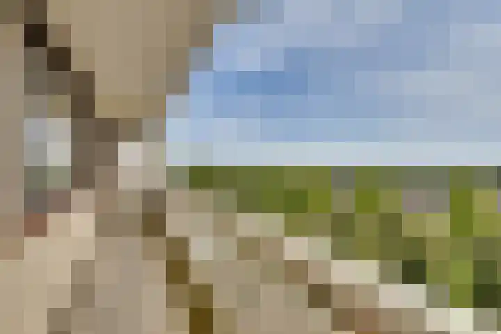 de Koppele 559 Eindhoven thumbnail 11