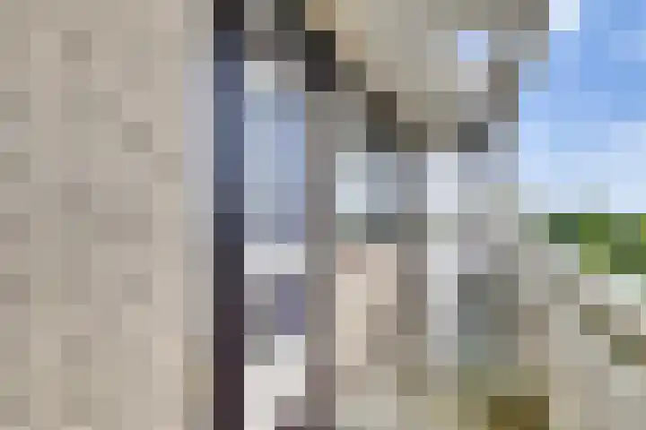 de Koppele 559 Eindhoven thumbnail 12