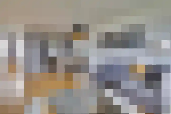 de Koppele 559 Eindhoven thumbnail 17