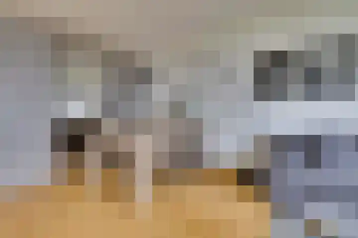 de Koppele 559 Eindhoven thumbnail 18