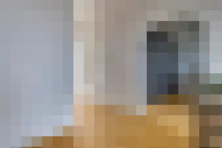 de Koppele 559 Eindhoven thumbnail 19