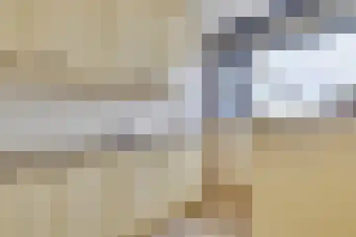 de Koppele 559 Eindhoven thumbnail 24