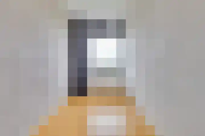 de Koppele 559 Eindhoven thumbnail 30
