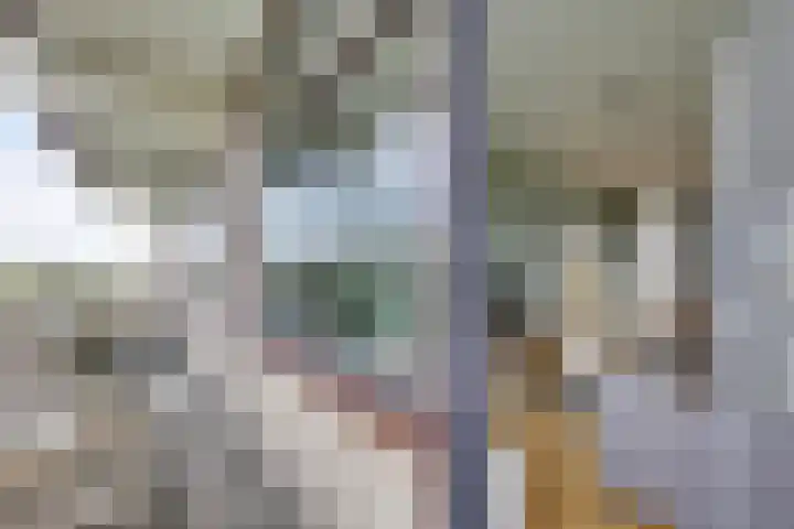 de Koppele 559 Eindhoven thumbnail 33