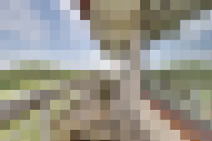 de Koppele 559 Eindhoven thumbnail 34