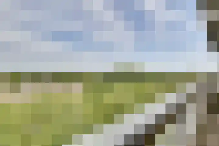 de Koppele 559 Eindhoven thumbnail 35