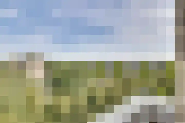 de Koppele 559 Eindhoven thumbnail 36