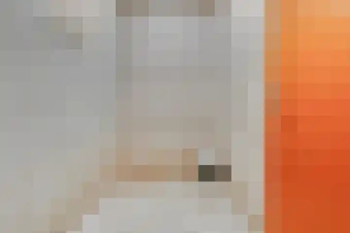 de Koppele 559 Eindhoven thumbnail 40