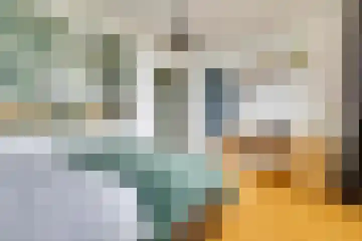 de Koppele 559 Eindhoven thumbnail 5