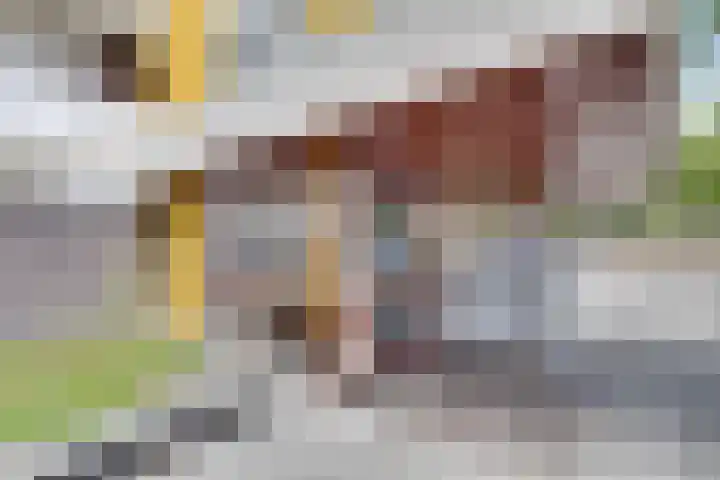 de Koppele 559 Eindhoven thumbnail 6