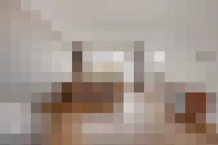 de Koppele 56 Eindhoven thumbnail 11