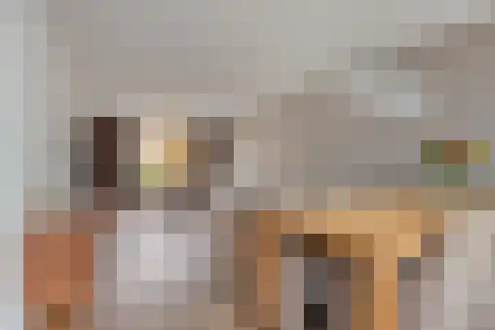de Koppele 56 Eindhoven thumbnail 14