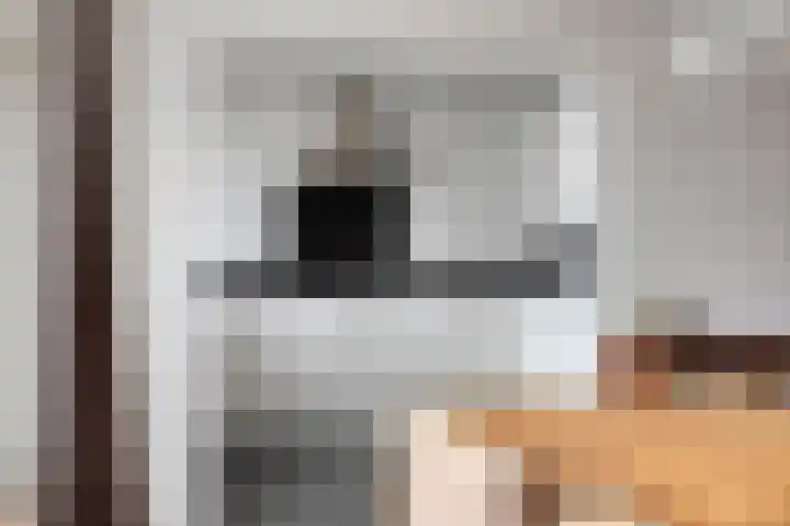 de Koppele 56 Eindhoven thumbnail 15