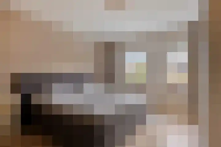 de Koppele 56 Eindhoven thumbnail 24