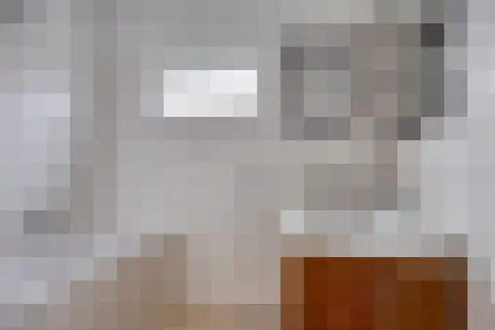 de Koppele 56 Eindhoven thumbnail 26