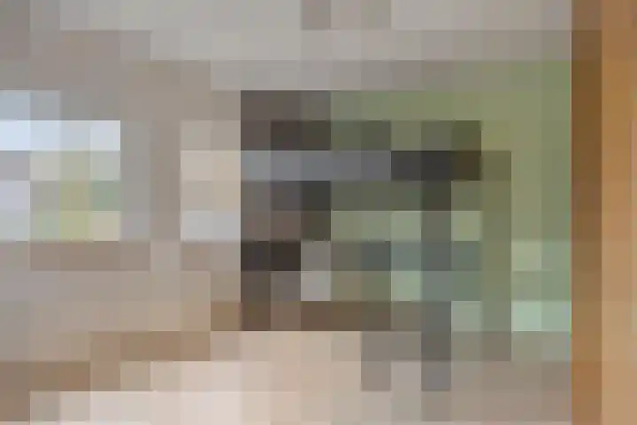 de Koppele 56 Eindhoven thumbnail 28