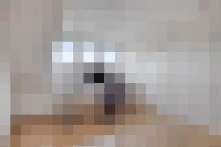 de Koppele 56 Eindhoven thumbnail 33