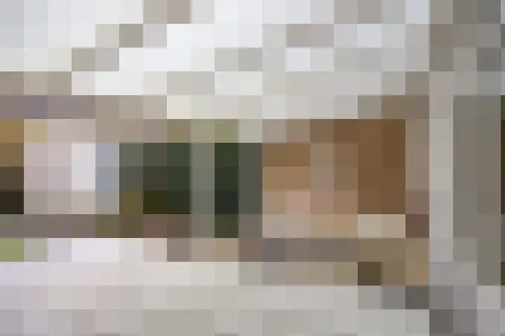 de Koppele 56 Eindhoven thumbnail 36