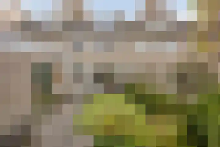 de Koppele 56 Eindhoven thumbnail 41