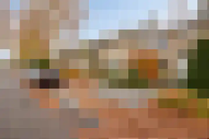 de Koppele 56 Eindhoven thumbnail 46