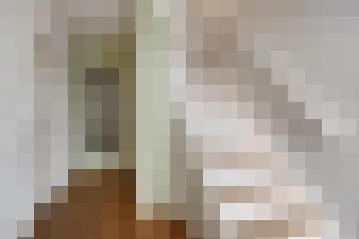 de Koppele 56 Eindhoven thumbnail 6