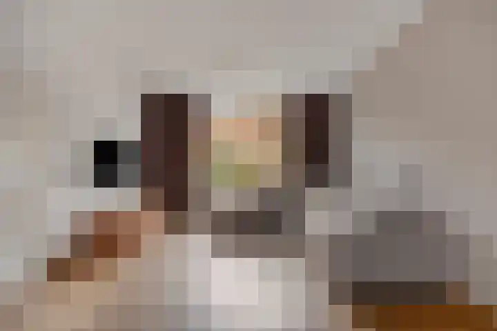 de Koppele 56 Eindhoven thumbnail 8