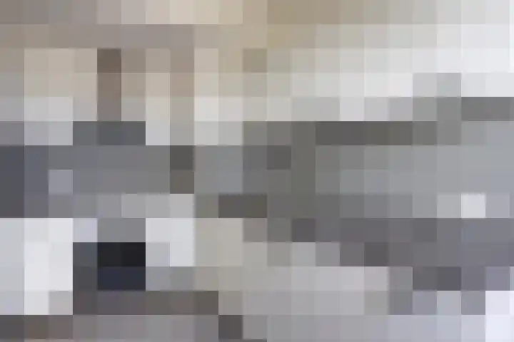 de Koppele 567 Eindhoven thumbnail 11