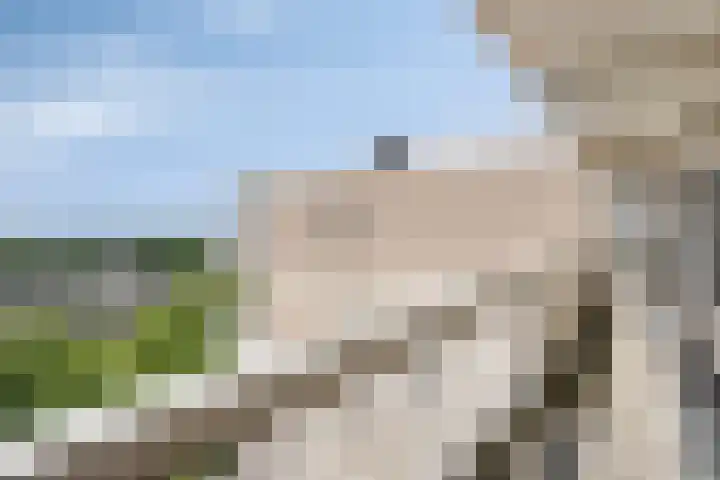 de Koppele 567 Eindhoven thumbnail 20