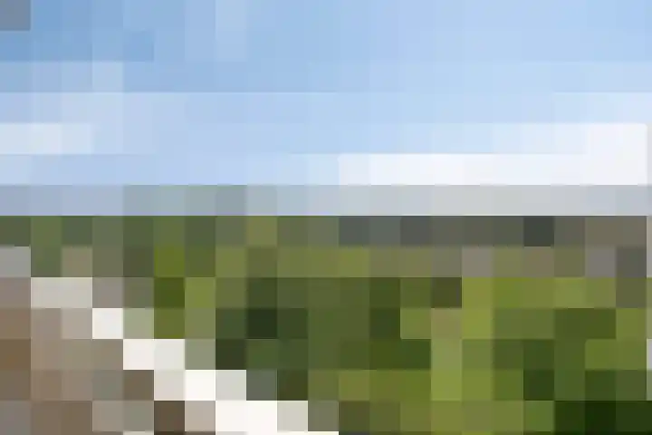 de Koppele 567 Eindhoven thumbnail 21