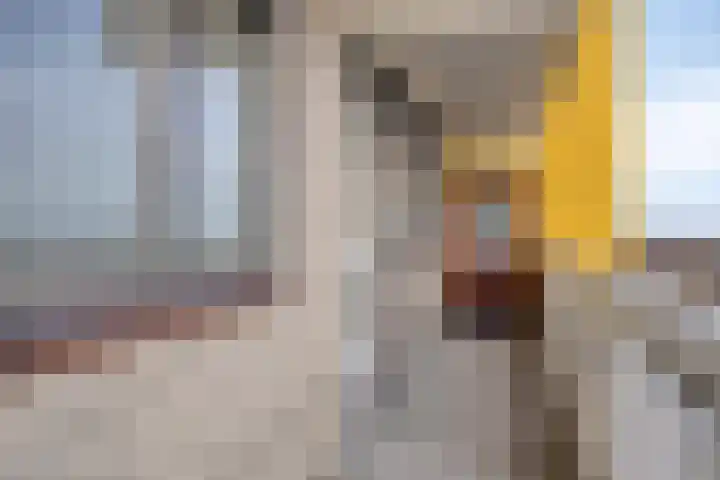 de Koppele 567 Eindhoven thumbnail 8