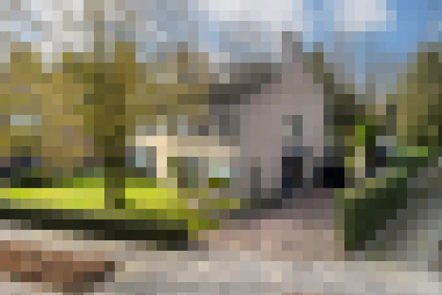de Koppele 589 Eindhoven