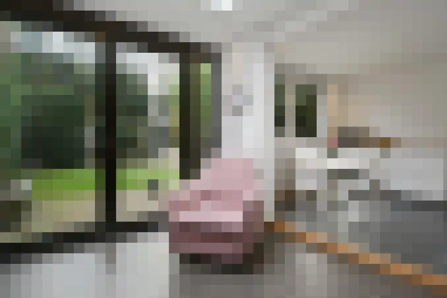de Koppele 589 Eindhoven thumbnail 18