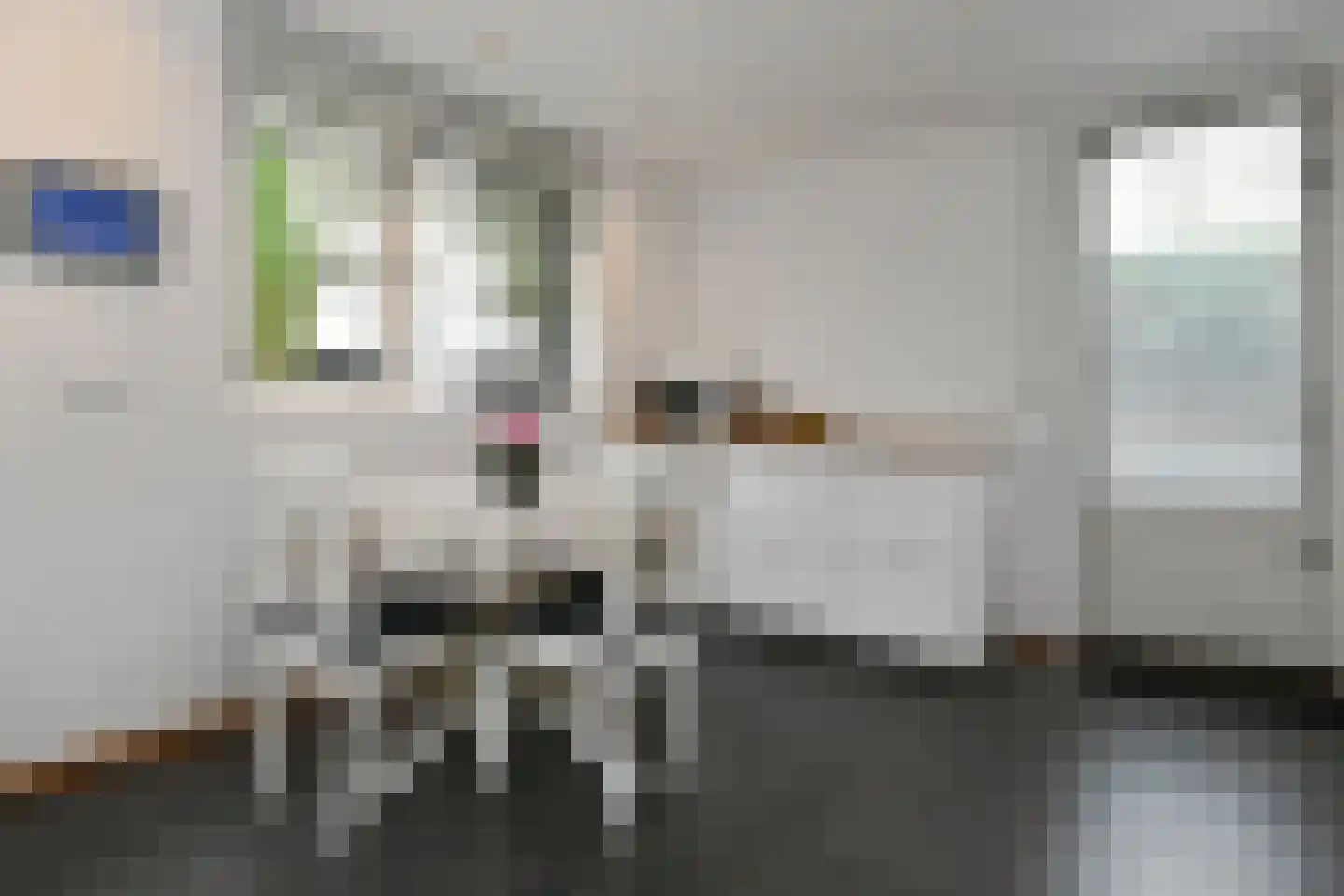 de Koppele 589 Eindhoven thumbnail 20