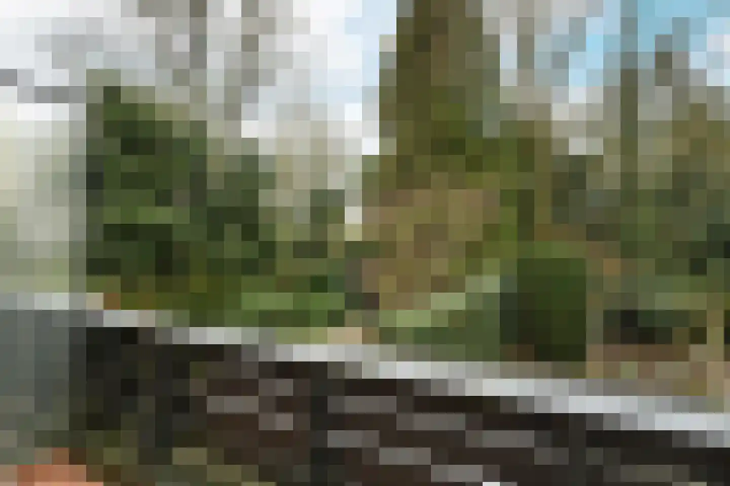 de Koppele 589 Eindhoven thumbnail 26