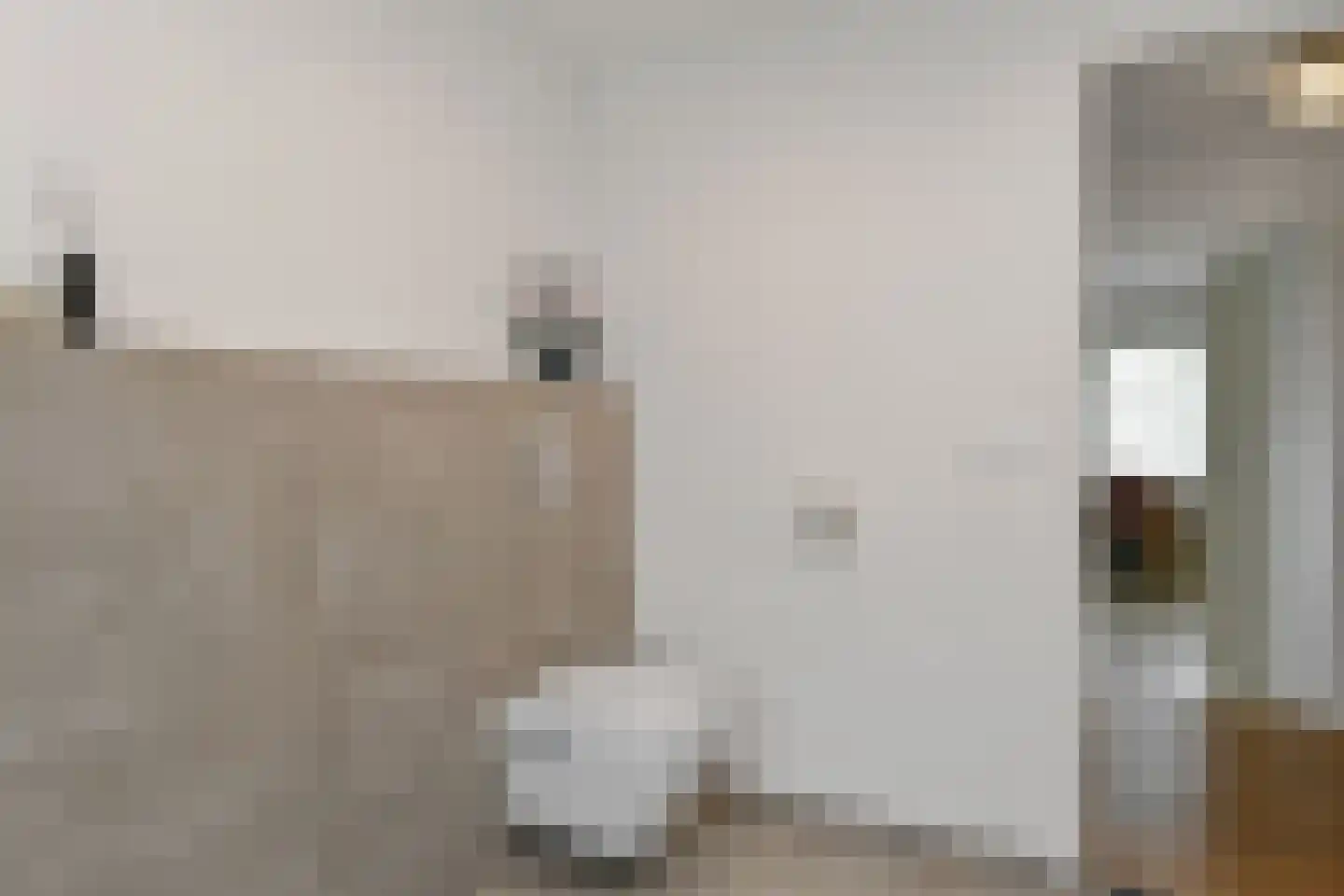 de Koppele 589 Eindhoven thumbnail 30