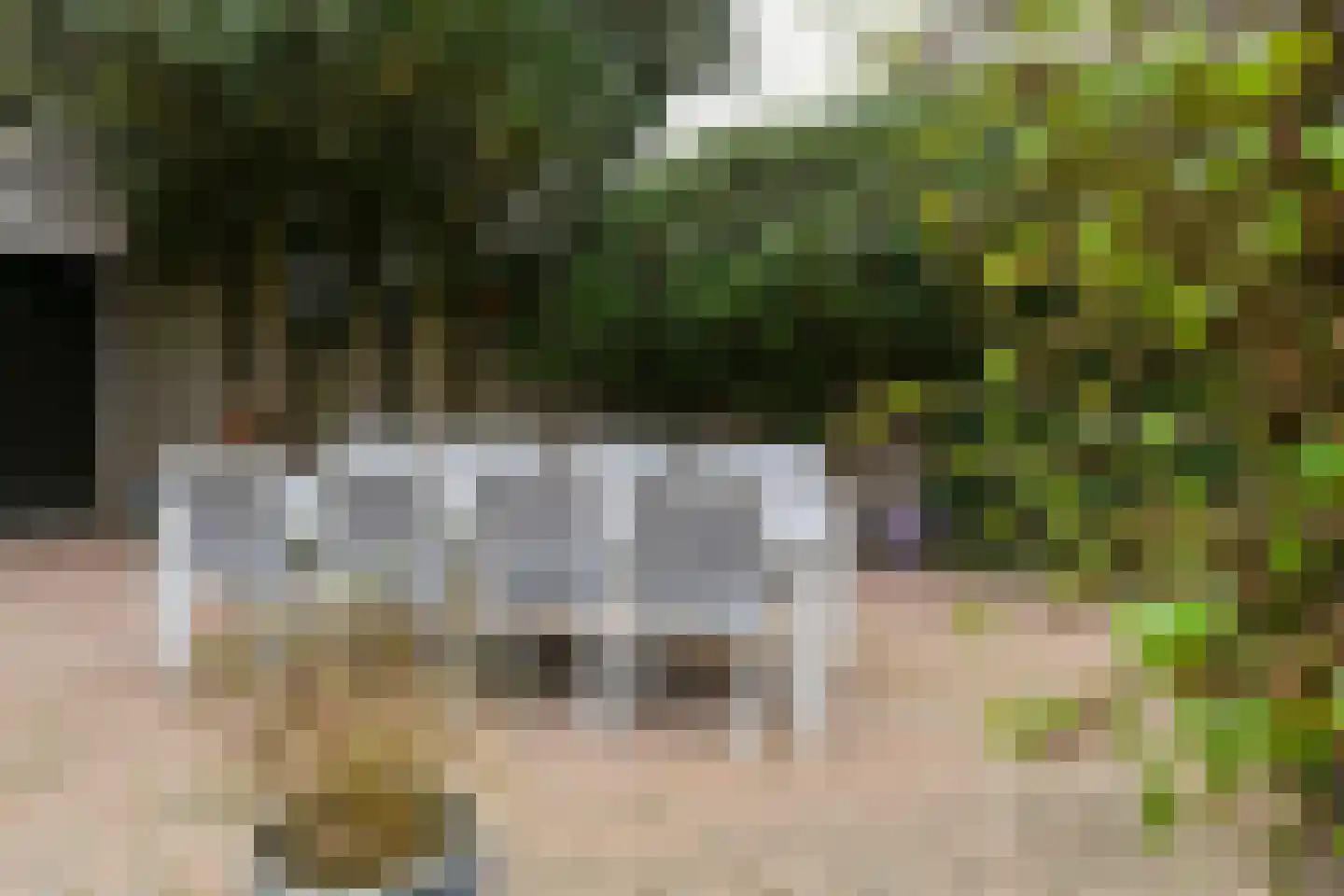 de Koppele 589 Eindhoven thumbnail 37