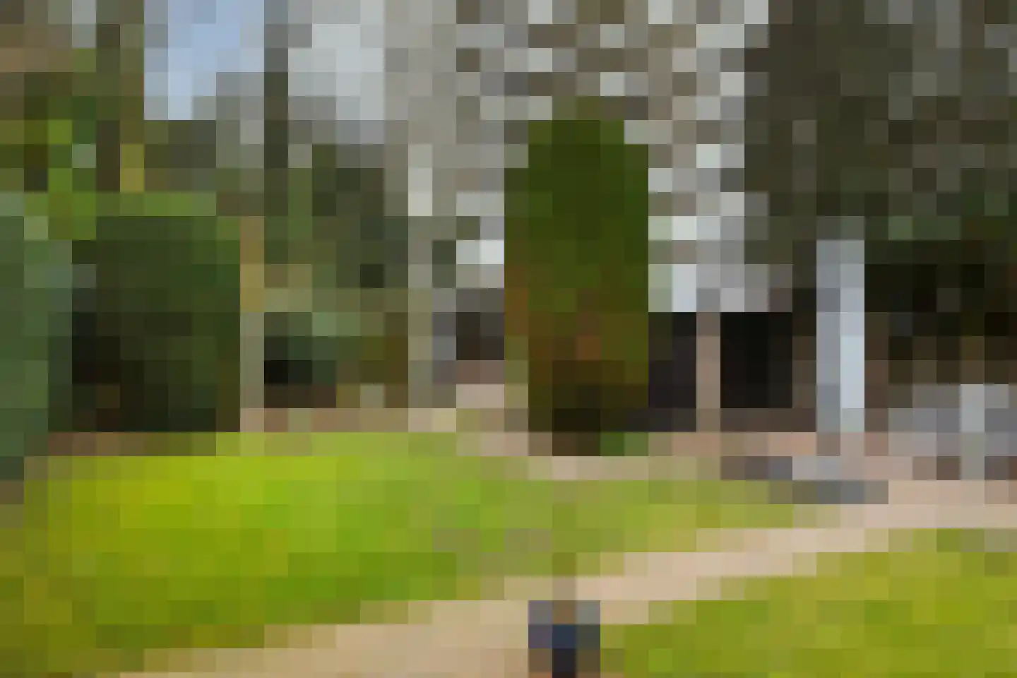 de Koppele 589 Eindhoven thumbnail 39