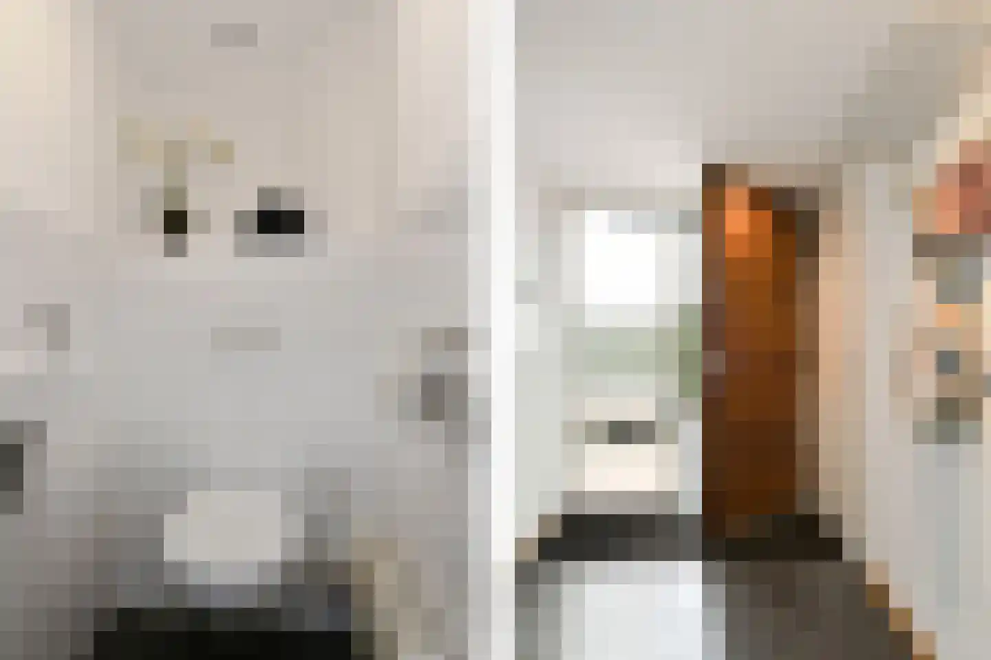 de Koppele 589 Eindhoven thumbnail 9