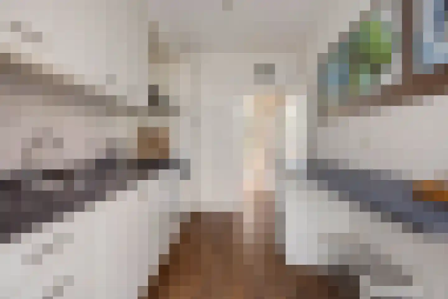 de Koppele 6 Eindhoven thumbnail 11