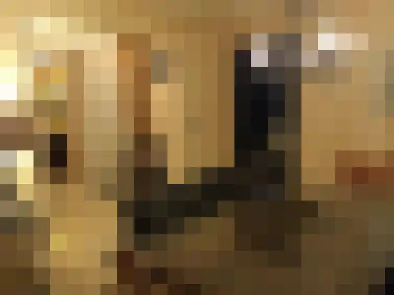 de Koppele 601 Eindhoven thumbnail 6