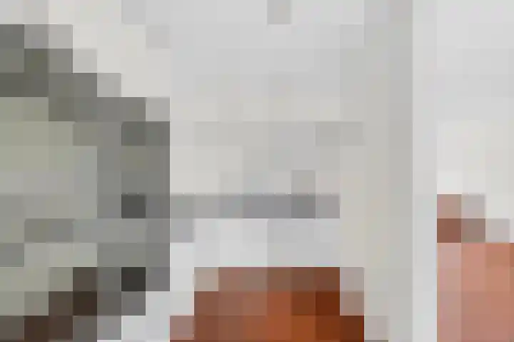 de Koppele 62 Eindhoven thumbnail 17